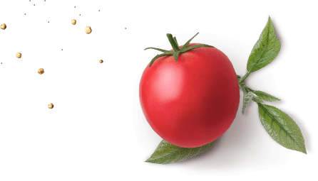 imagen-tomate-fresco-con-migas-pan